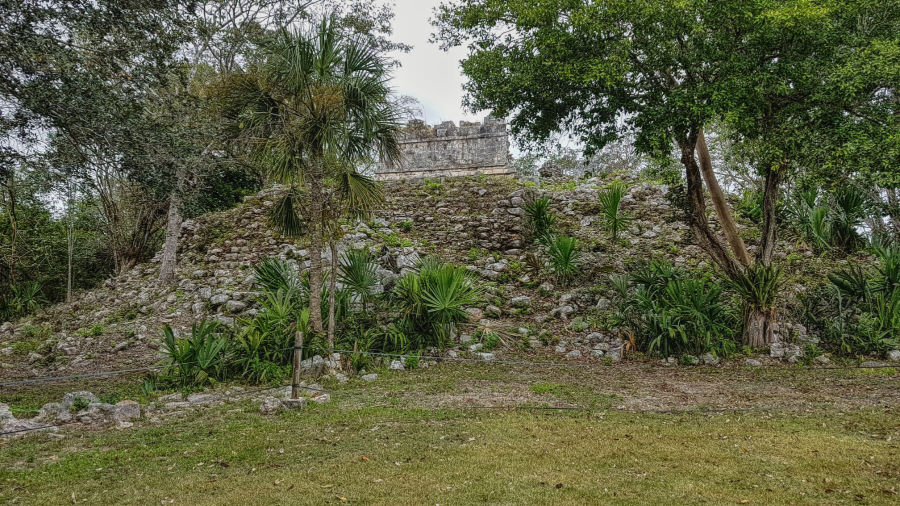 Mayan Ruins Jungle Skull Stretch Bracelet