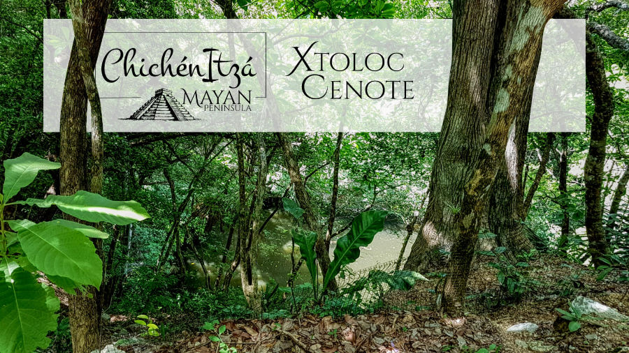 The Xtoloc Cenote In Chichen Itza Mayan Peninsula
