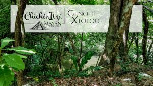 Cenote Xtoloc en Chichén Itzá